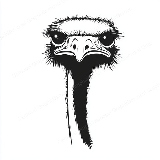 Ostrich Vector Graphic preview