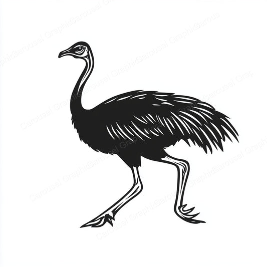 Ostrich Vector Graphic preview