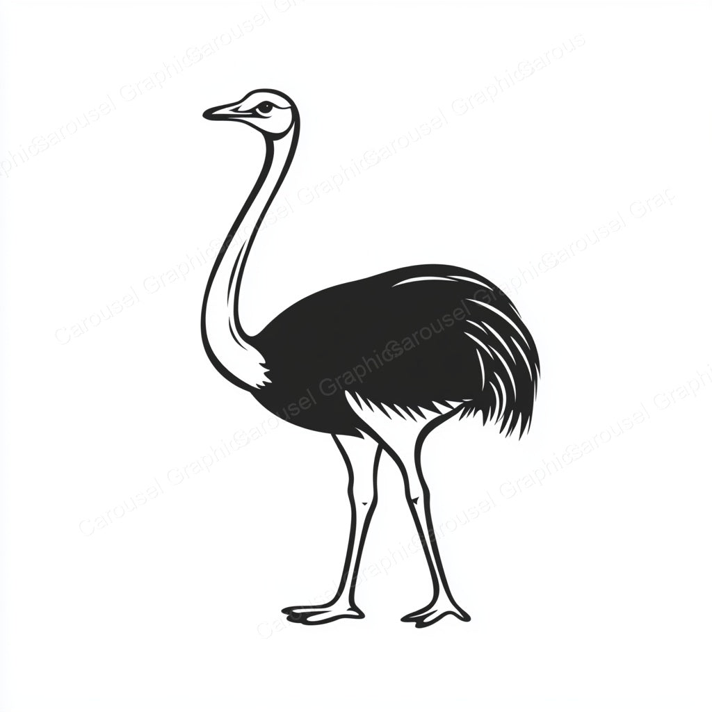 Ostrich Vector Graphic preview
