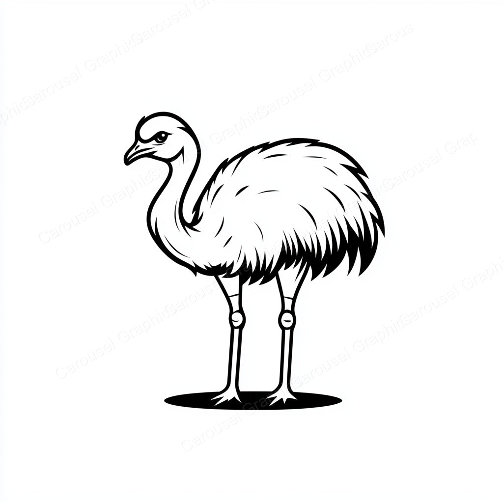 Ostrich Vector Graphic preview