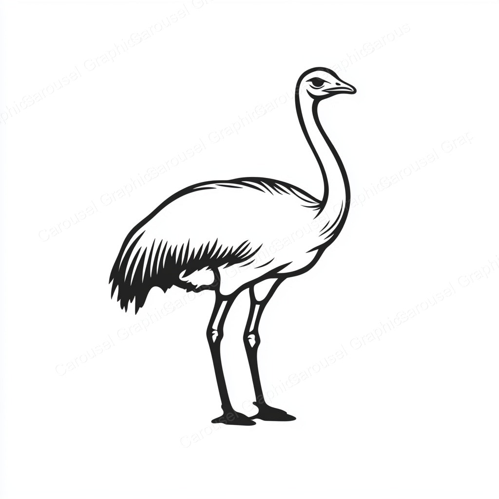 Ostrich Vector Graphic preview
