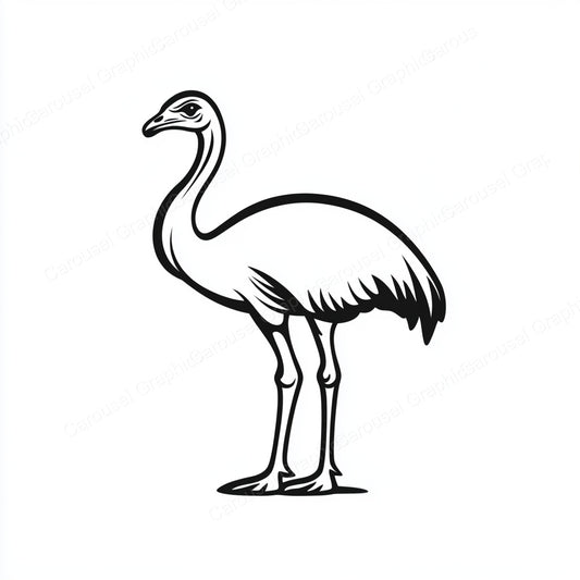 Ostrich Vector Graphic preview