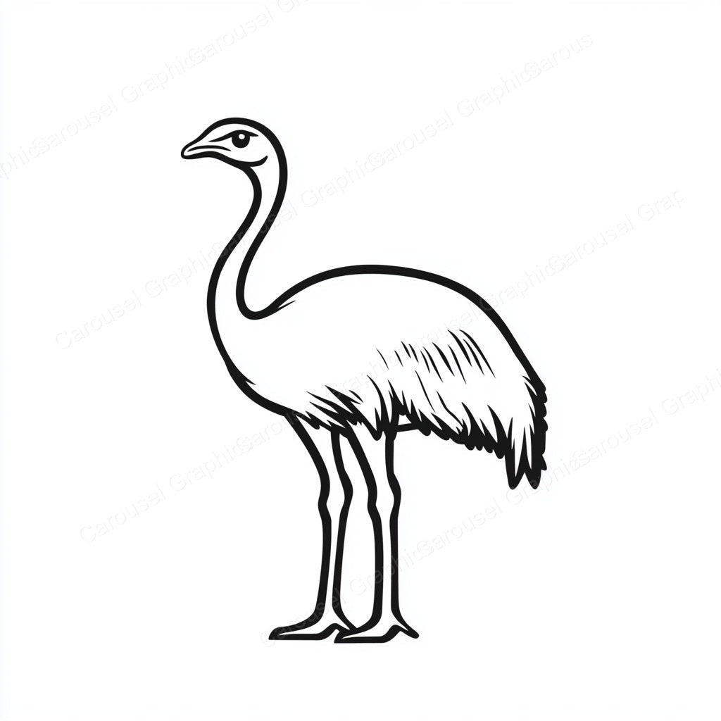 Ostrich Vector Graphic preview