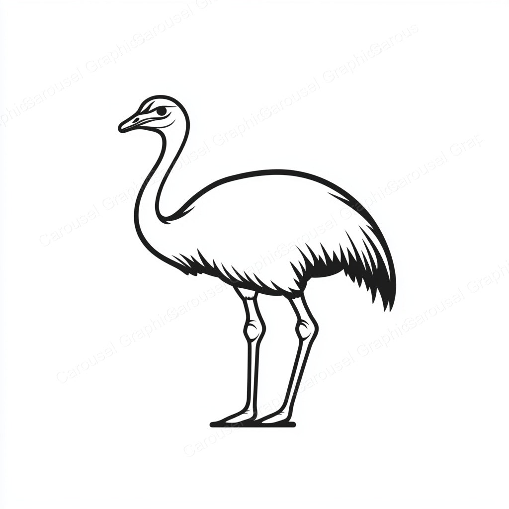 Ostrich Vector Graphic preview