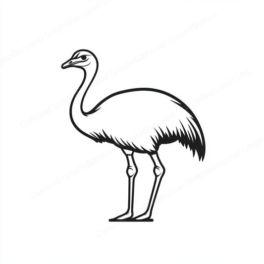 Ostrich Vector Graphic preview