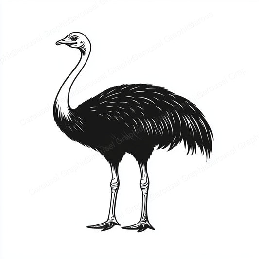 Ostrich Vector Graphic preview