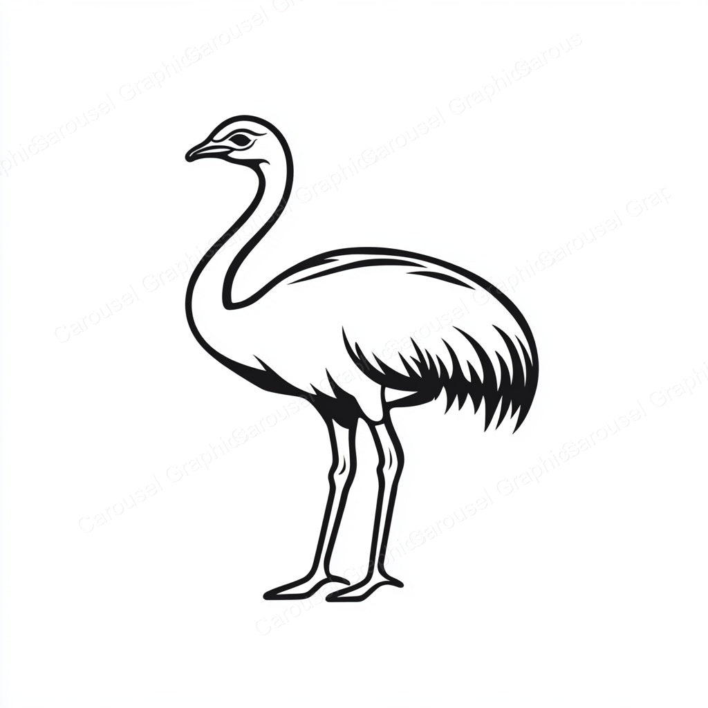 Ostrich Vector Graphic preview