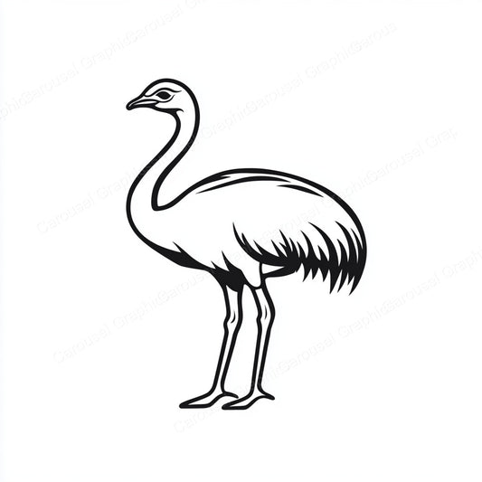 Ostrich Vector Graphic preview