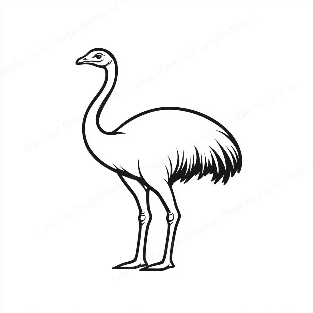 Ostrich Vector Graphic preview