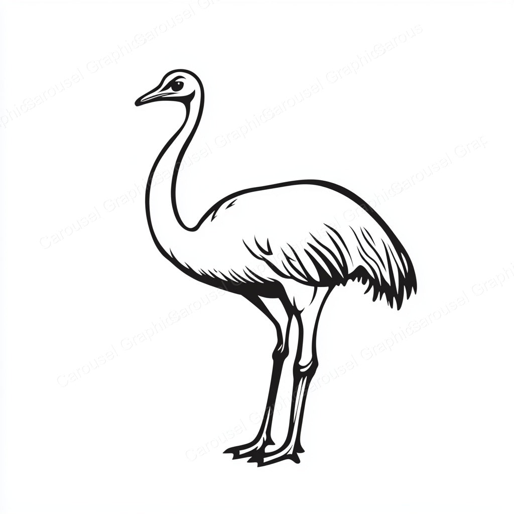 Ostrich Vector Graphic preview