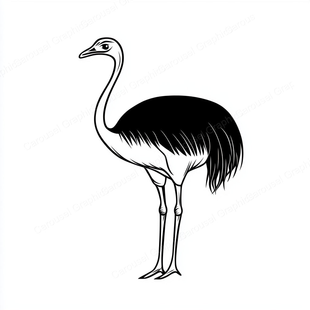 Ostrich Vector Graphic preview