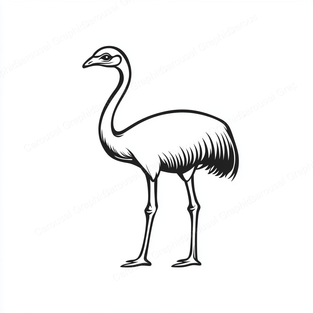 Ostrich Vector Graphic preview