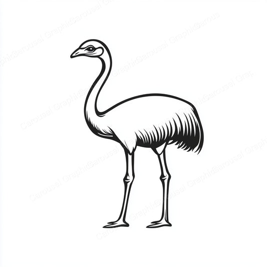 Ostrich Vector Graphic preview