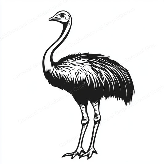 Ostrich Vector Graphic preview