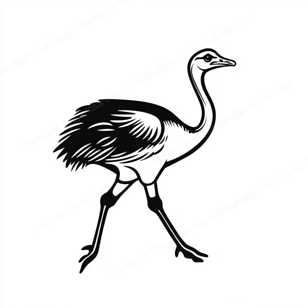 Ostrich Vector Graphic preview