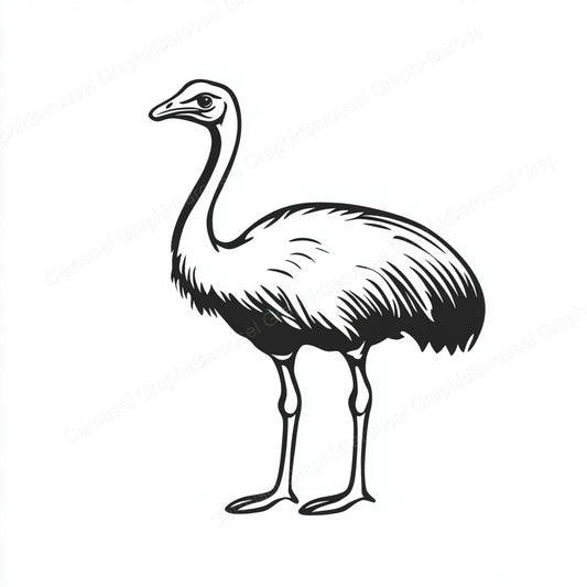 Ostrich Vector Graphic preview