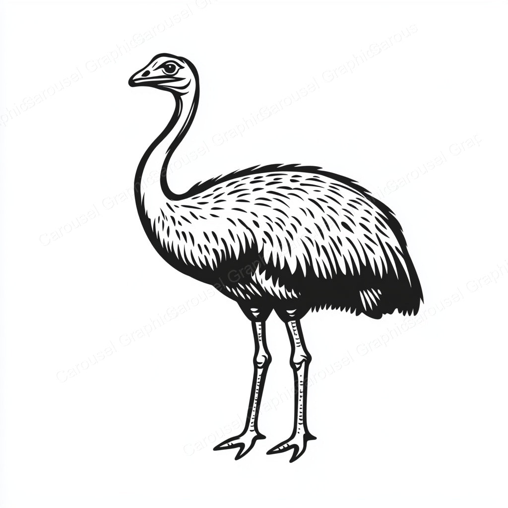 Ostrich Vector Graphic preview