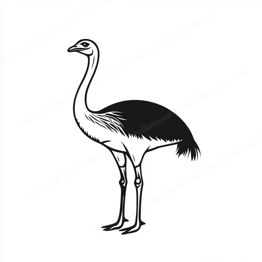 Ostrich Vector Graphic preview