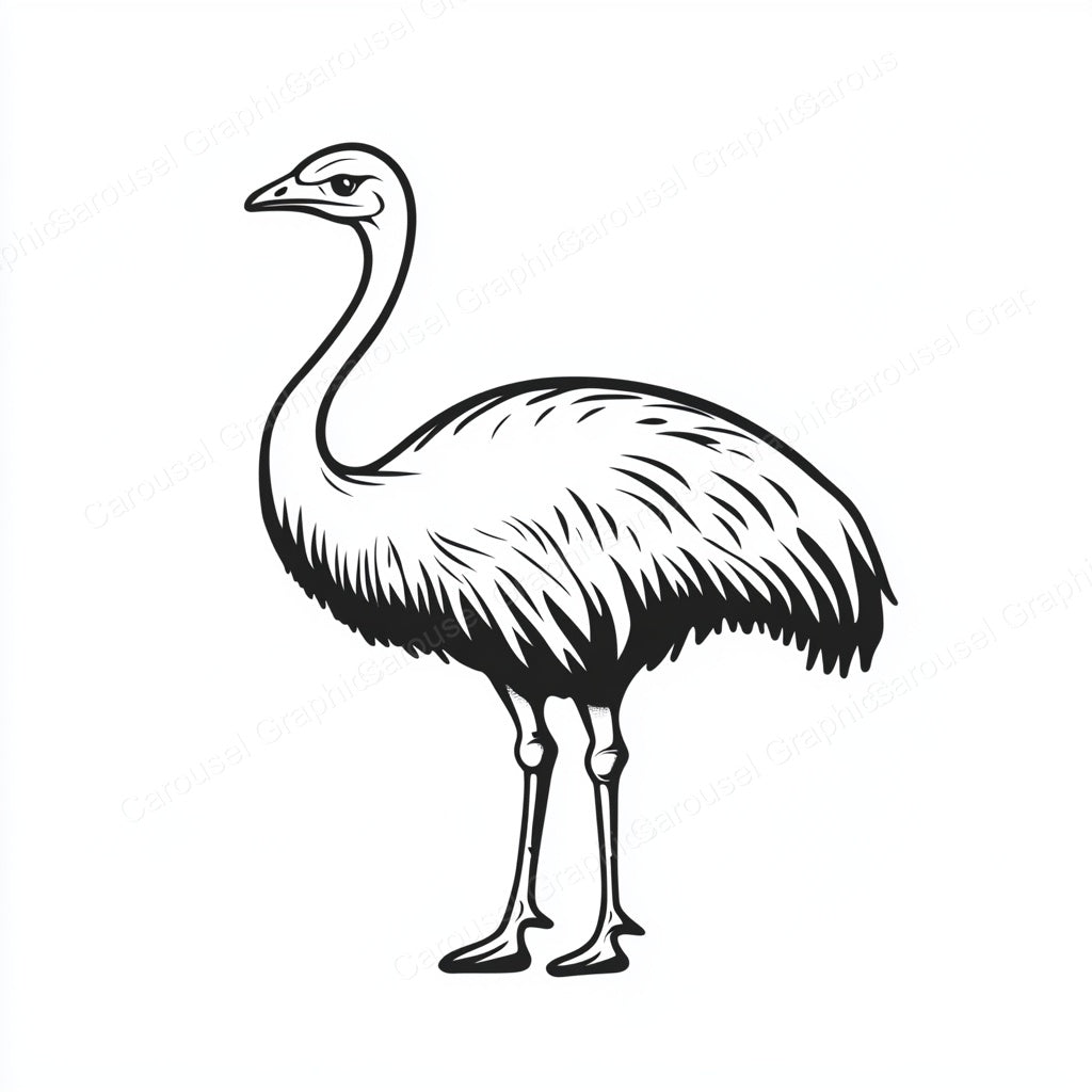 Ostrich Vector Graphic preview
