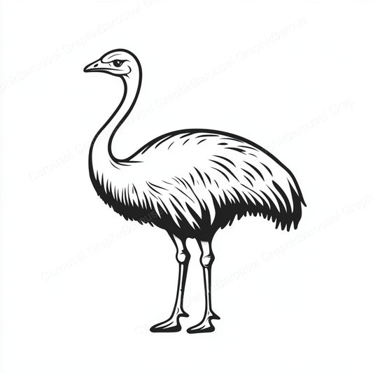 Ostrich Vector Graphic preview
