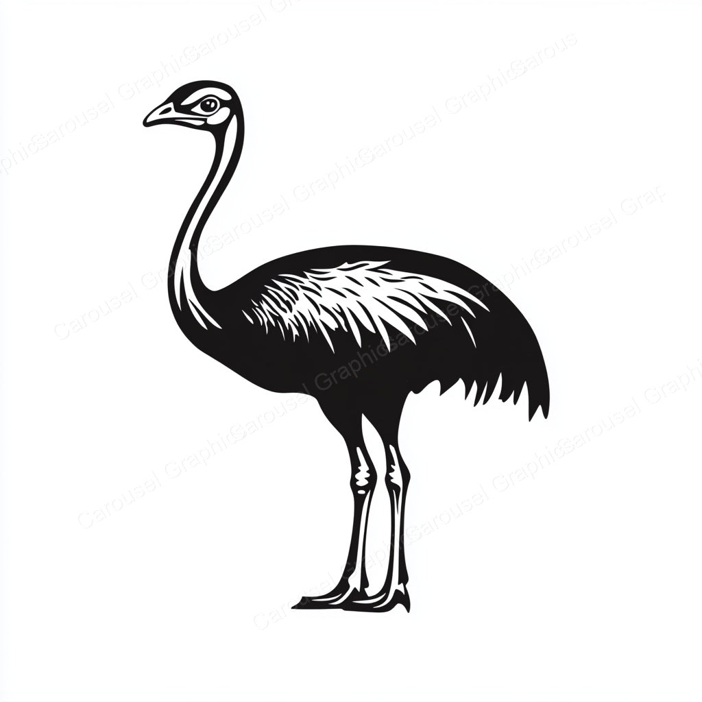 Ostrich Vector Graphic preview