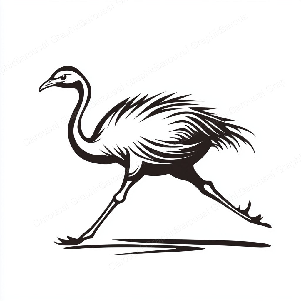 Ostrich Vector Graphic preview