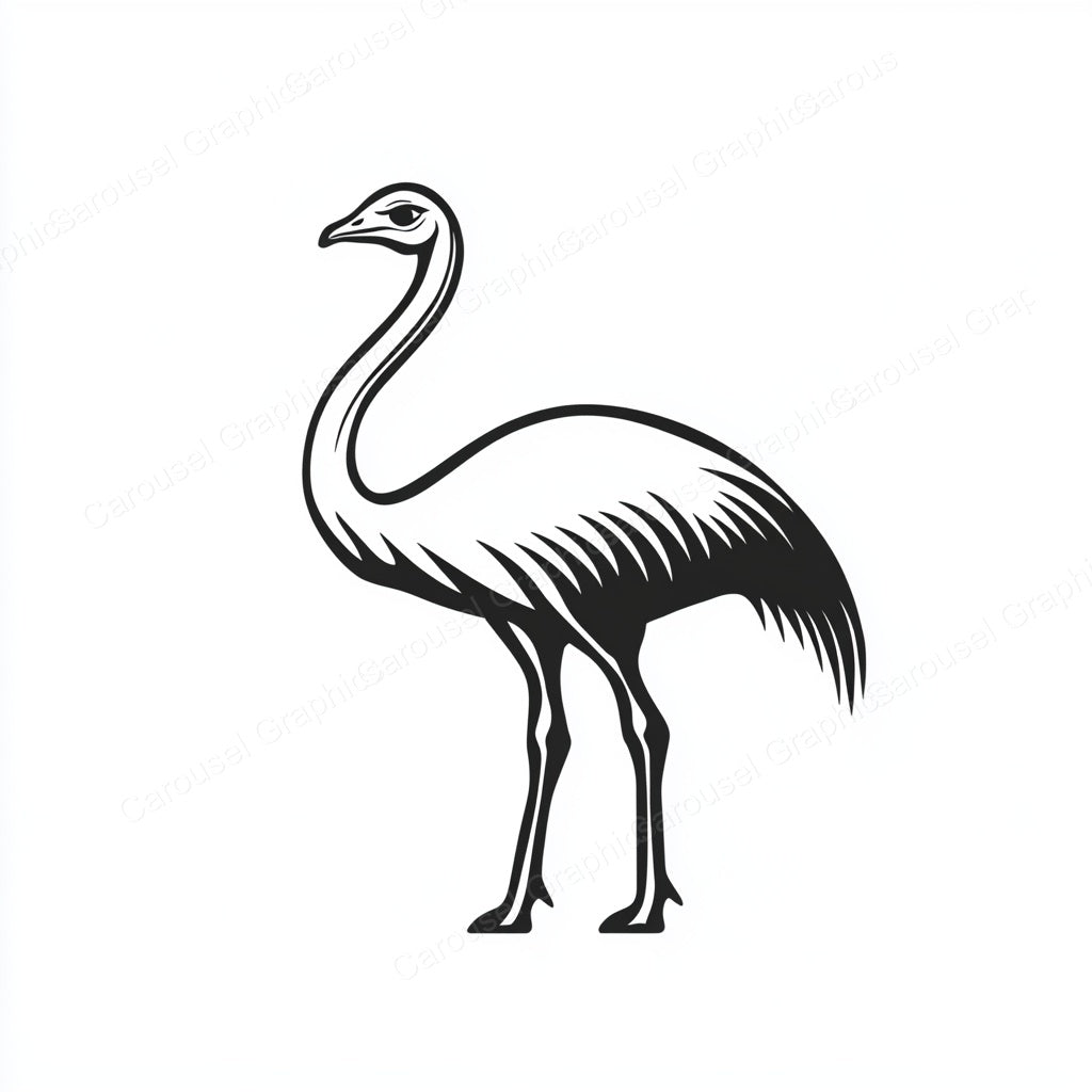 Ostrich Vector Graphic preview