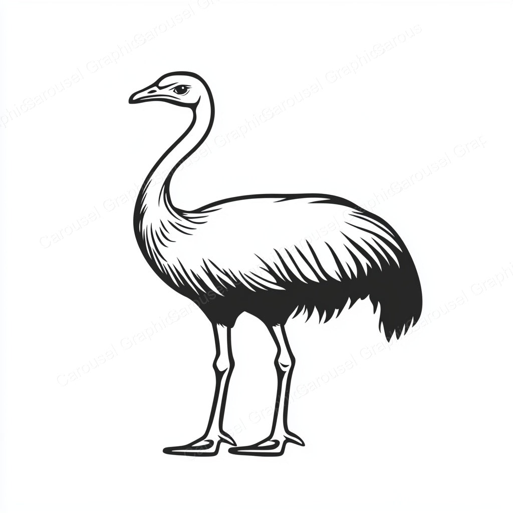 Ostrich Vector Graphic preview