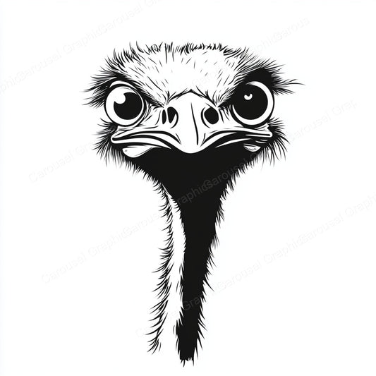 Ostrich Vector Graphic preview