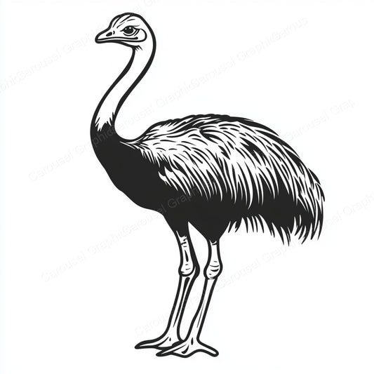 Ostrich Vector Graphic preview