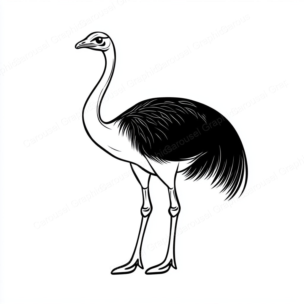 Ostrich Vector Graphic preview