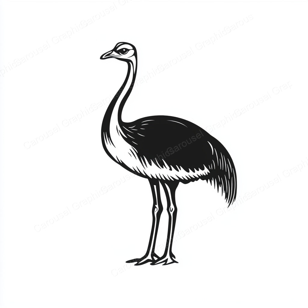 Ostrich Vector Graphic preview