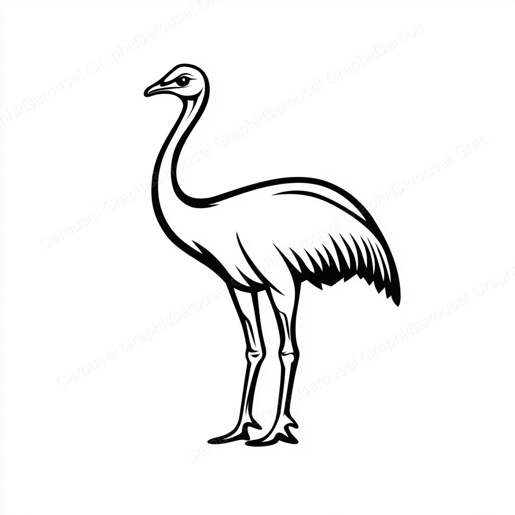 Ostrich Vector Graphic preview