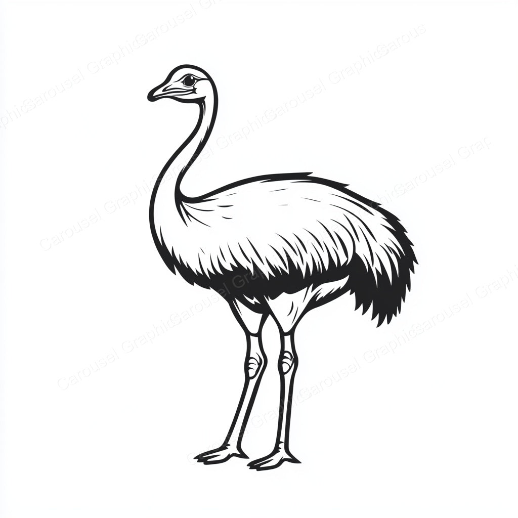 Ostrich Vector Graphic preview