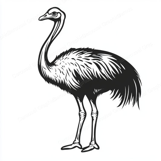 Ostrich Vector Graphic preview
