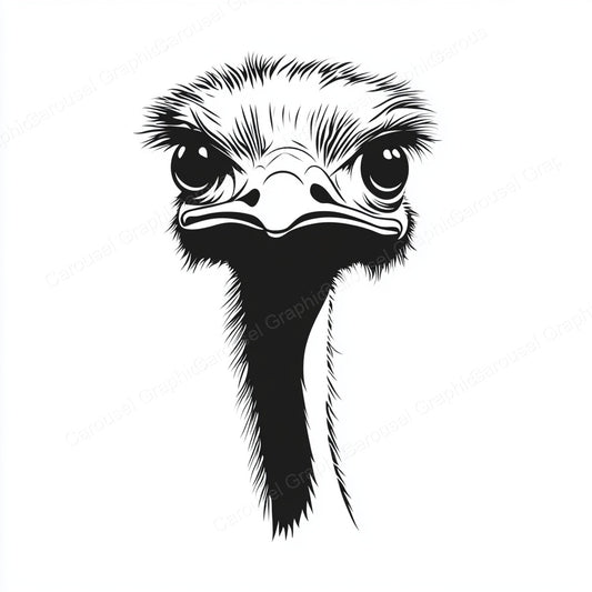 Ostrich Vector Graphic preview