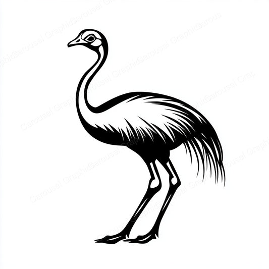 Ostrich Vector Graphic preview