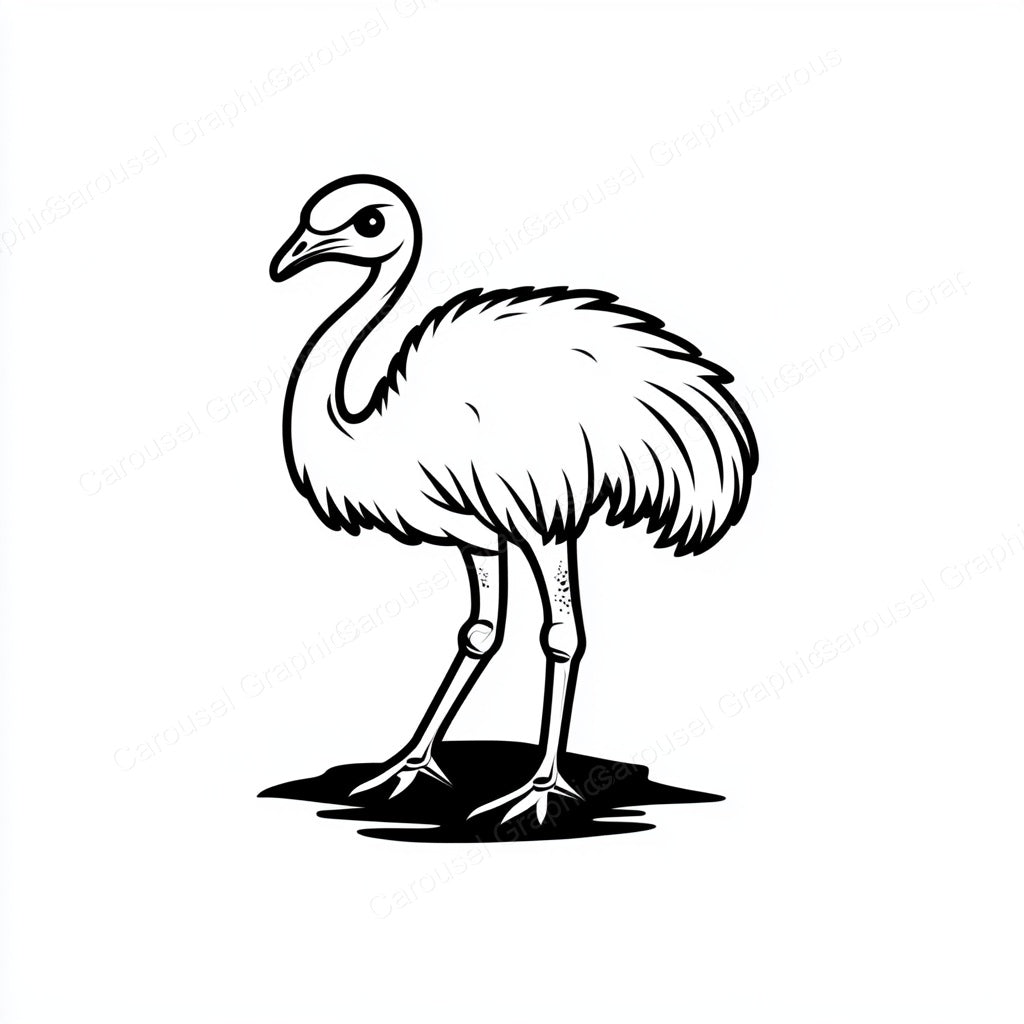 Ostrich Vector Graphic preview
