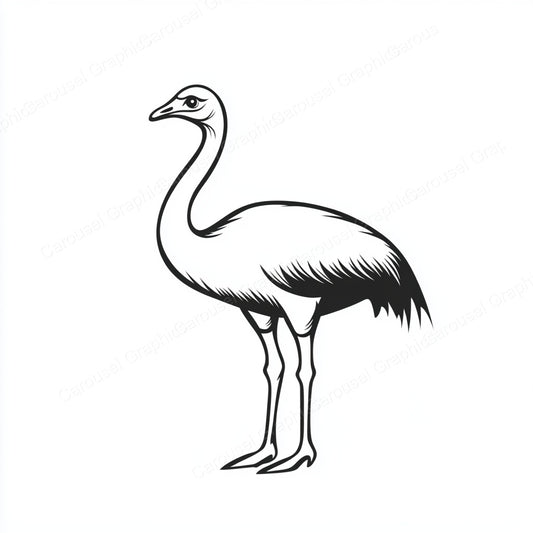 Ostrich Vector Graphic preview
