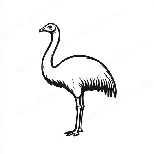 Ostrich Vector Graphic preview