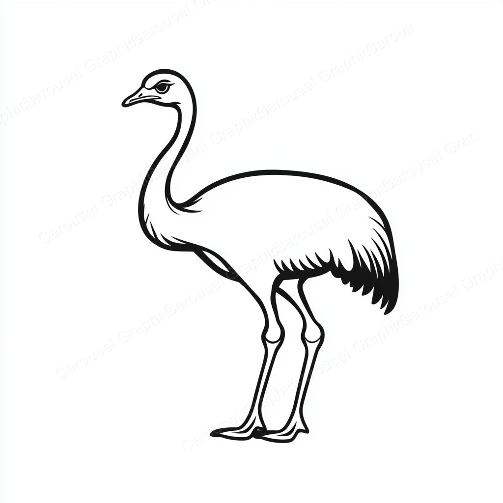 Ostrich Vector Graphic preview