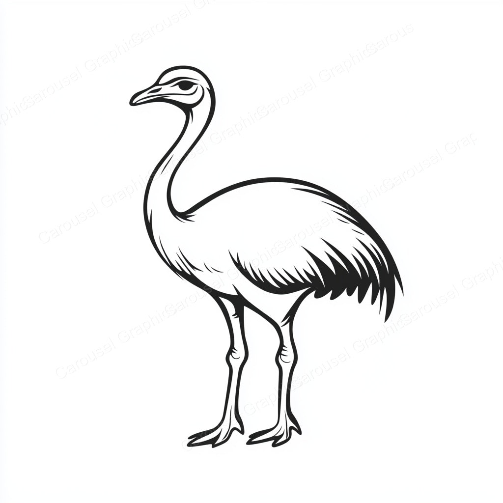 Ostrich Vector Graphic preview