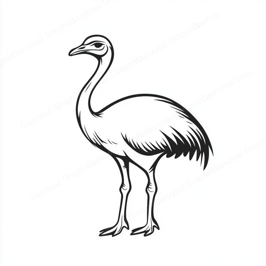 Ostrich Vector Graphic preview