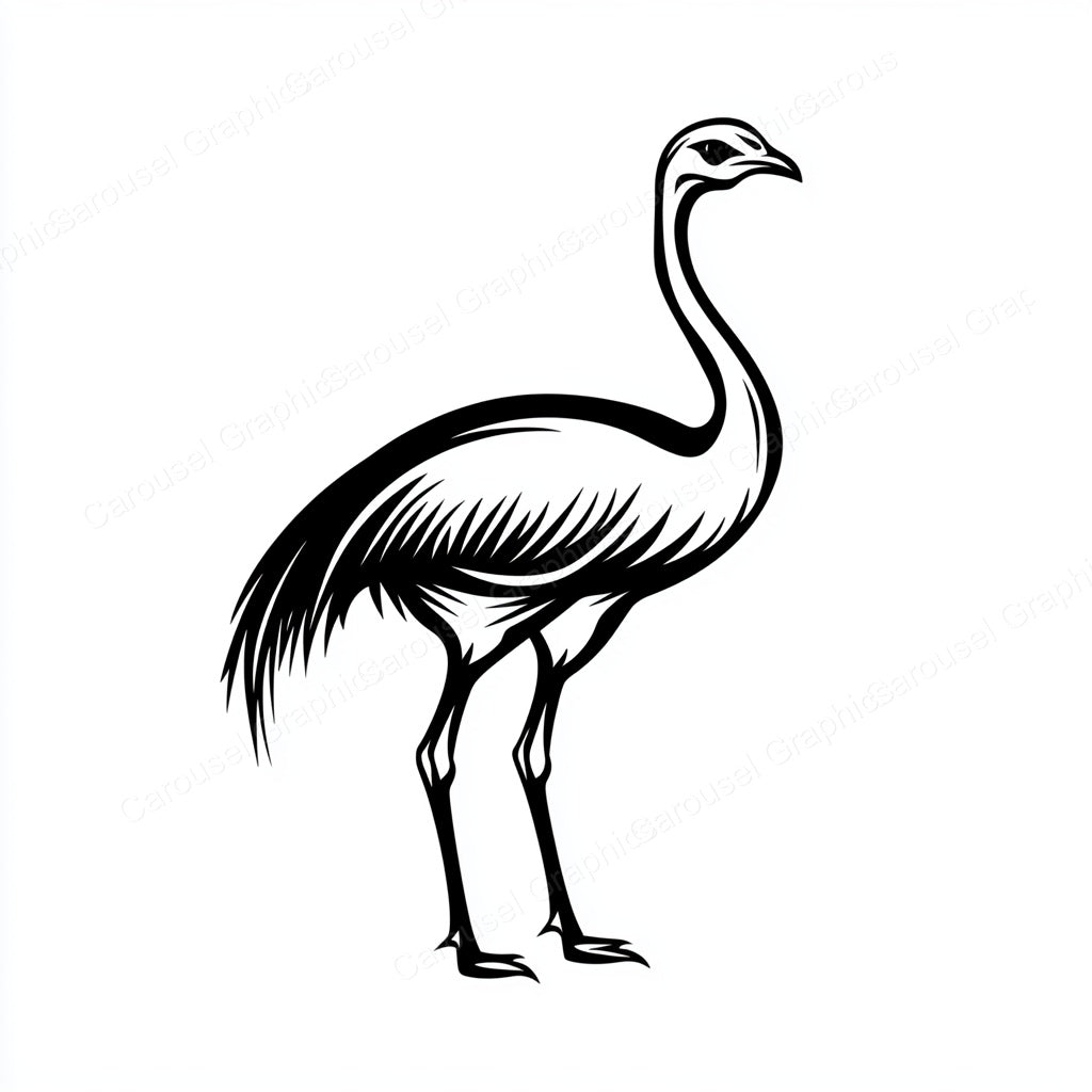 Ostrich Vector Graphic preview