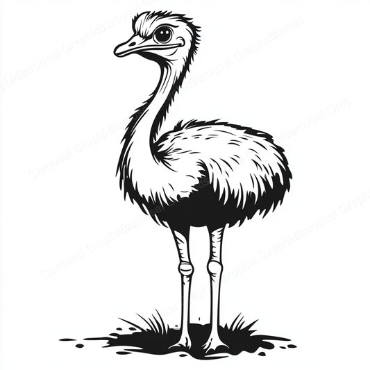 Ostrich Vector Graphic preview