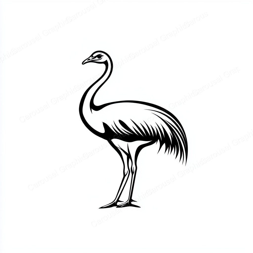 Ostrich Vector Graphic preview