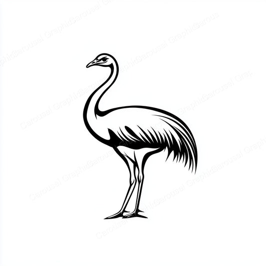 Ostrich Vector Graphic preview