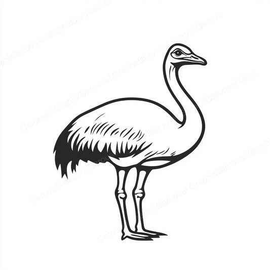 Ostrich Vector Graphic preview