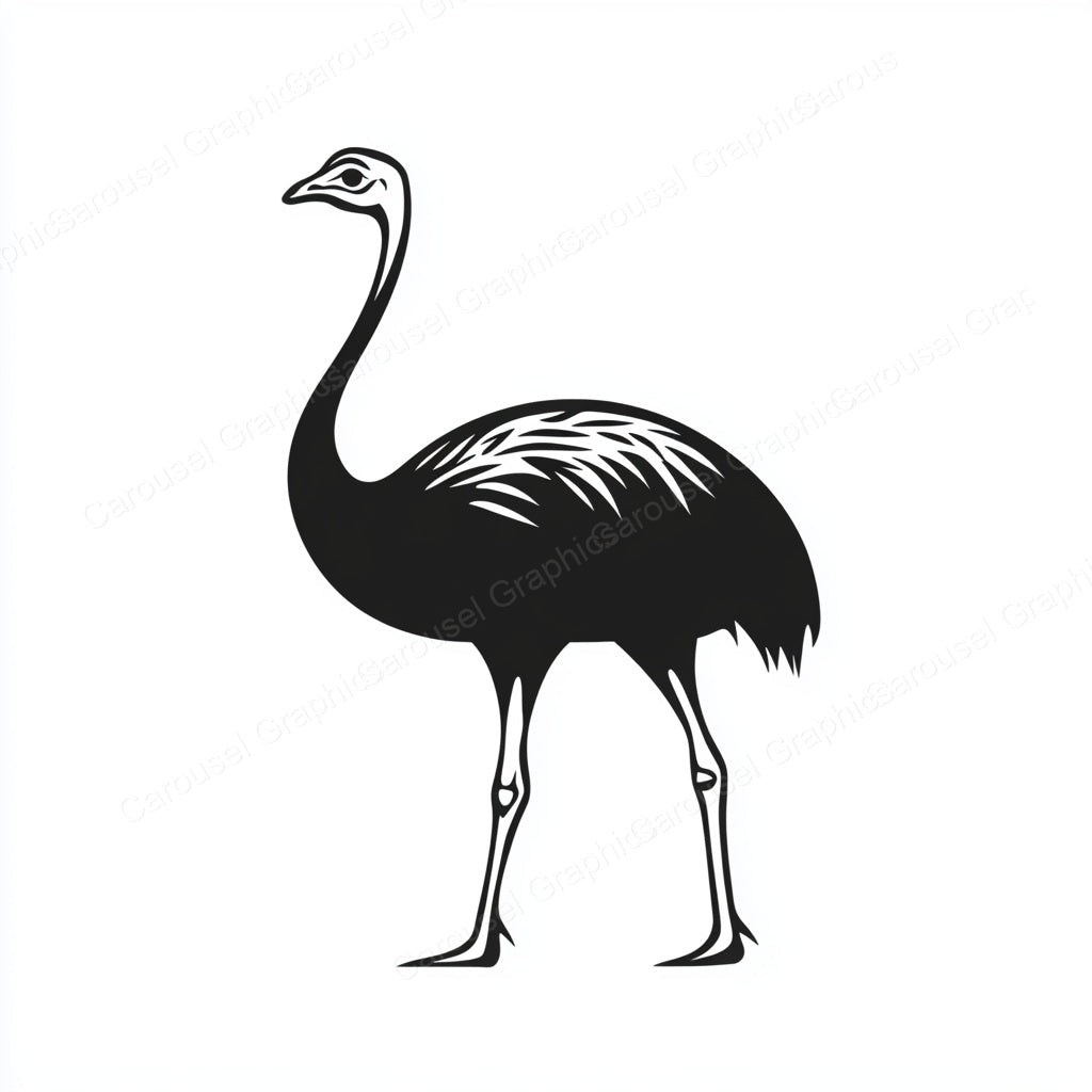 Ostrich Vector Graphic preview