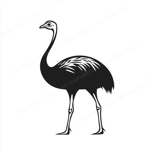 Ostrich Vector Graphic preview